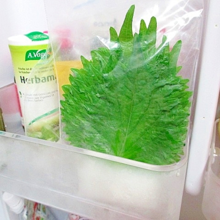 保存 大葉 あると便利！栄養満点大根葉の冷凍保存 レシピ・作り方